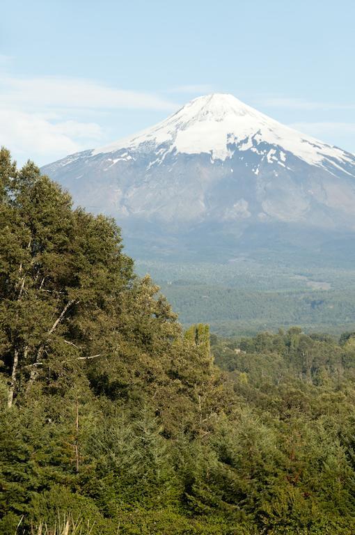 Cabanas Patagonia Lefun Pucon Luaran gambar