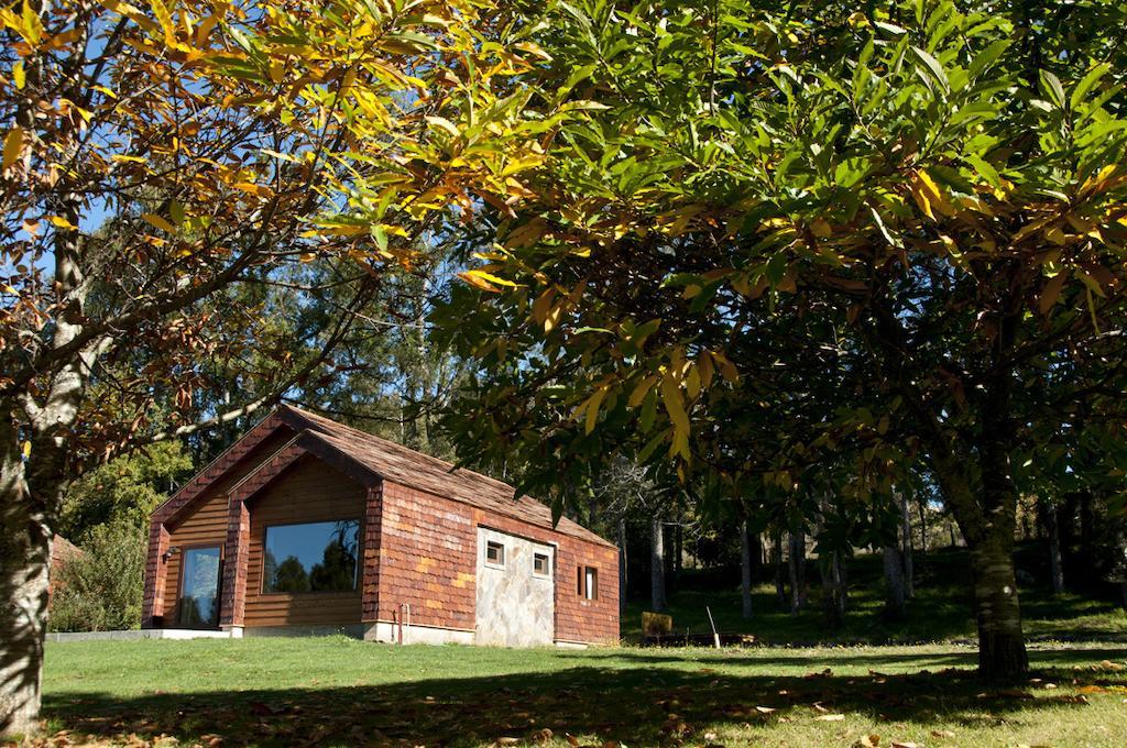 Cabanas Patagonia Lefun Pucon Luaran gambar